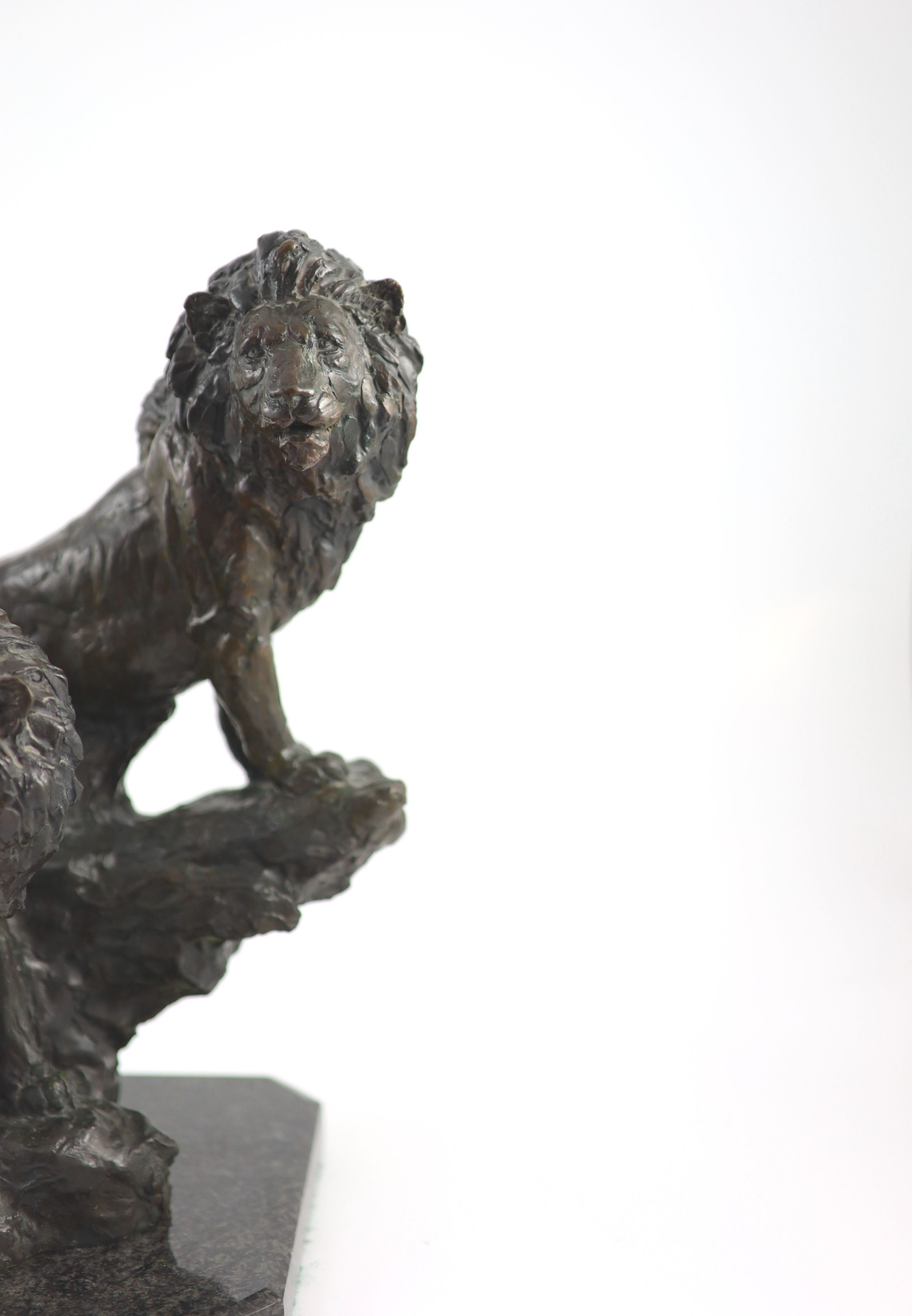 Barry Jackson (SA, 1948-), a bronze group of two lions, H 36cm. W 36cm. D 21cm.